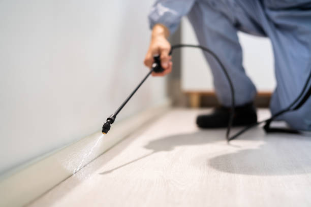 Licensed Mosquito Control service in Magnolia, TX - Show Me Pest Control