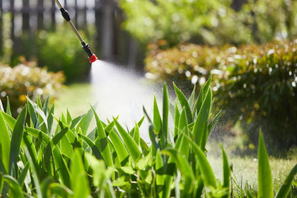 24/7 Emergency Mosquito Control experts in Magnolia, TX
