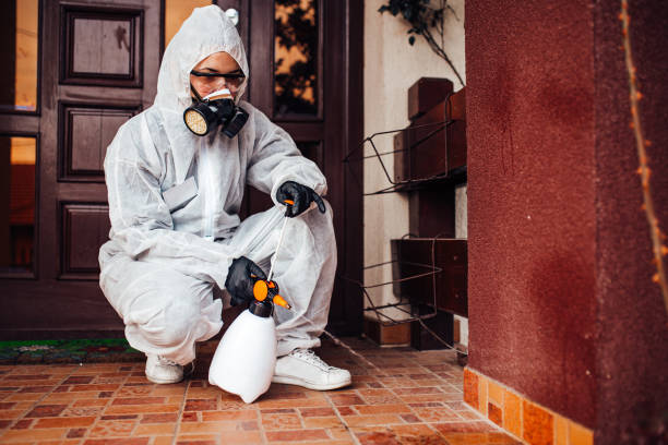 Reliable Mosquito Control contractor in Magnolia, TX by Show Me Pest Control